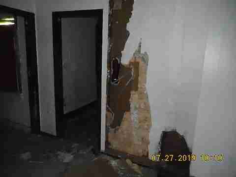 16737 Dolphin (12)_m.jpg